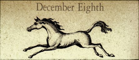 12月8日生まれの運勢と性格【星座/占星術とタロットで導く誕生日占い】