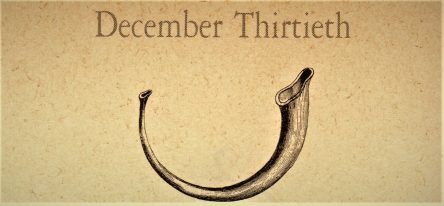 12月30日生まれの運勢と性格【星座/占星術とタロットで導く誕生日占い】