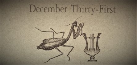 12月31日生まれの運勢と性格【星座/占星術とタロットで導く誕生日占い】