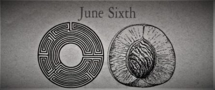 6月6日生まれの運勢と性格【星座/占星術とタロットで導く誕生日占い】